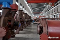 熊猫·体育-熊猫online(中国)被评为2019年度三水区骨干企业